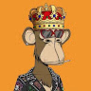 Meet your Posher, Nolan